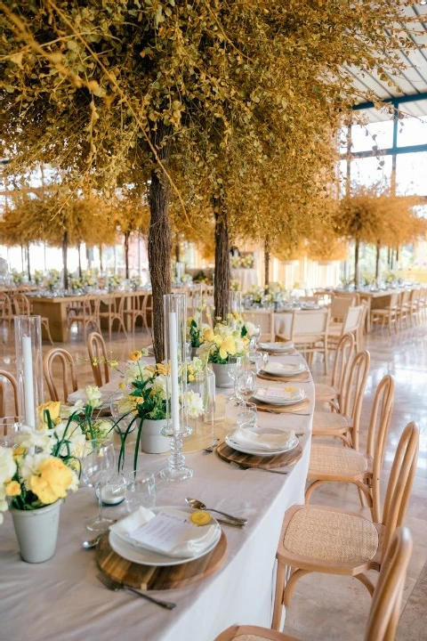 A Yellow Wedding for Andrea and Luis