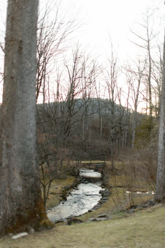An Elegant Wedding for Arielle  and Andrew 