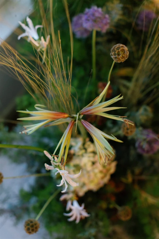 An Elegant Wedding for Arielle  and Andrew 