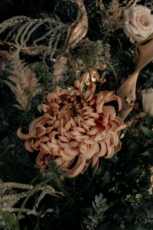 An Intimate Wedding for Csilla and Sean