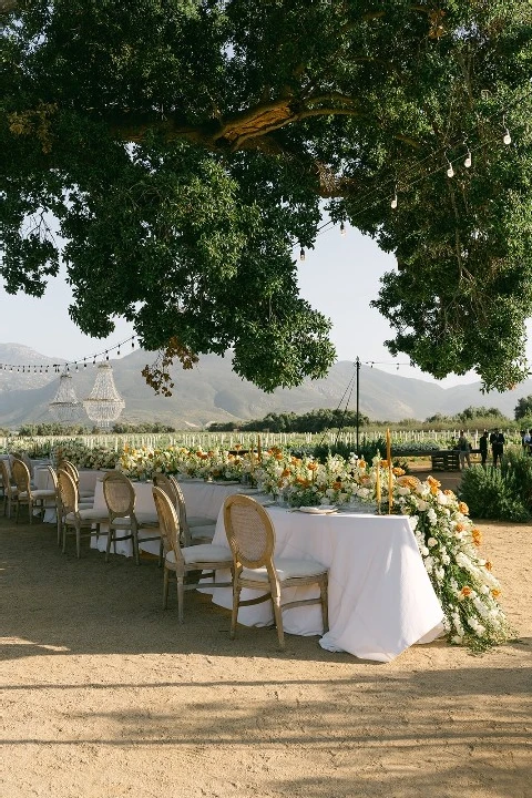 A Vineyard Wedding for Danielle and Sebastian