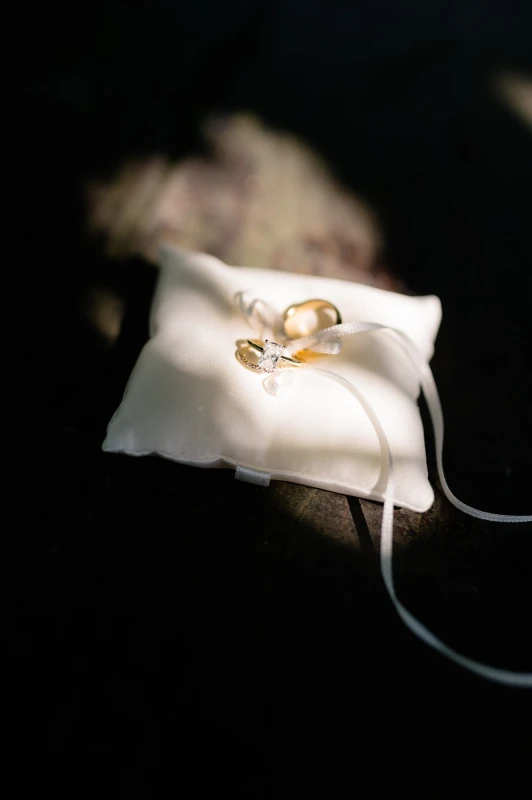 A Colorful Wedding for Deanna and Jason