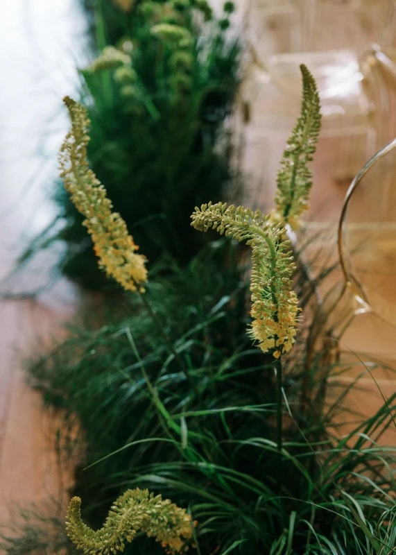 A Vibrant Wedding for Emily and Jason