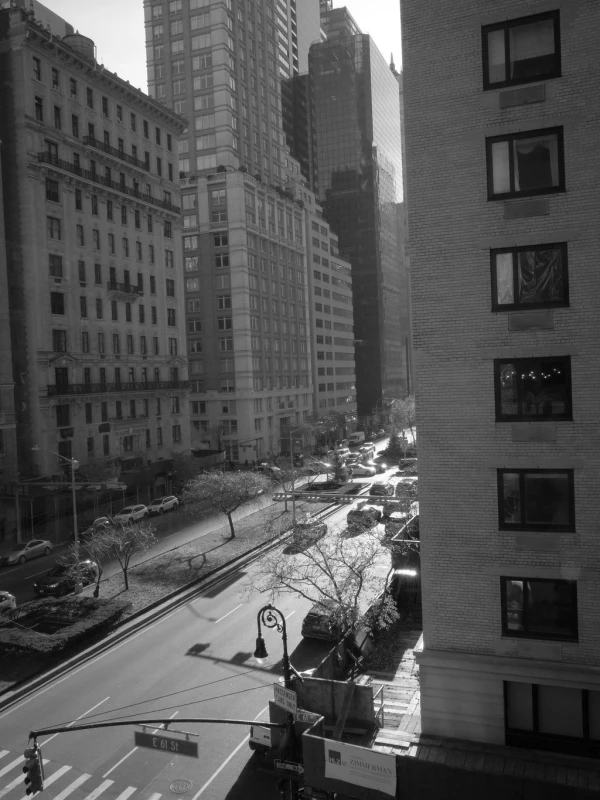 A Holiday Wedding for Gillian  and Evan 