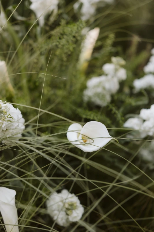 A Vintage Wedding for Jaylen  and Ryun