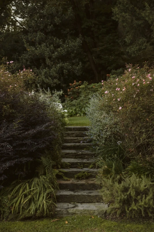 A Vintage Wedding for Jaylen  and Ryun