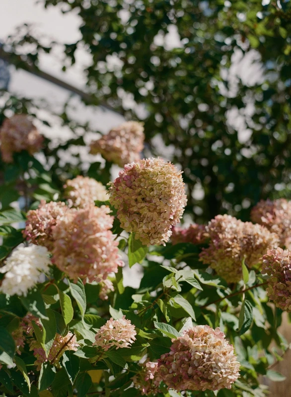 A Tented Wedding for Katherine and Liam