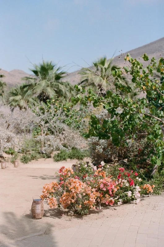 An Seaside Wedding for Kristyn and George 