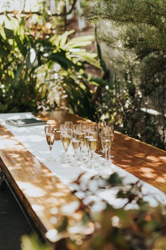 An Intimate Wedding for Maddie and Matt