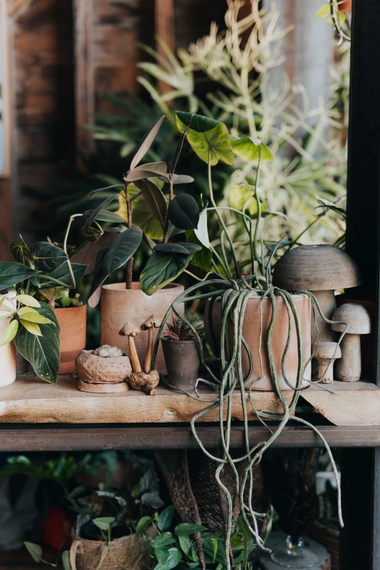 An Intimate Wedding for Maddie and Matt