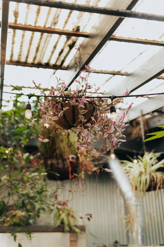 An Intimate Wedding for Maddie and Matt