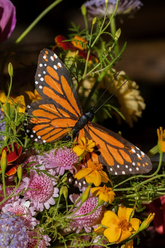 A Colorful Wedding for Sammy and Jared