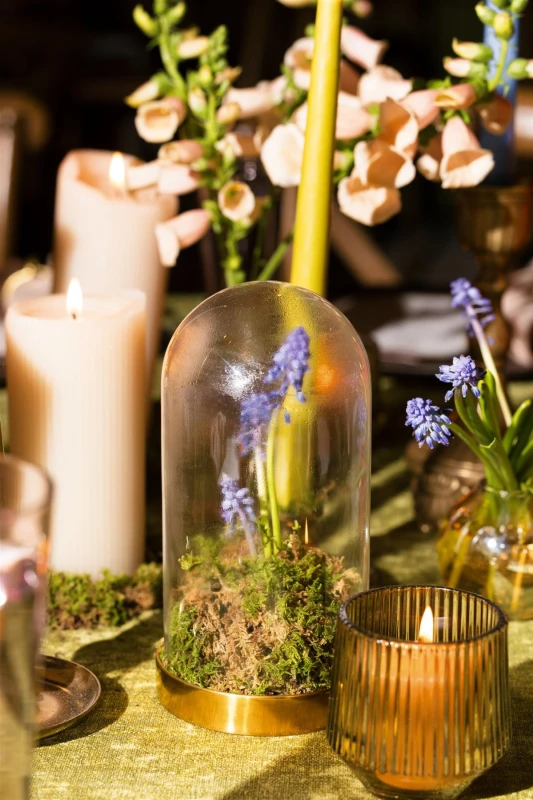 A Colorful Wedding for Sammy and Jared