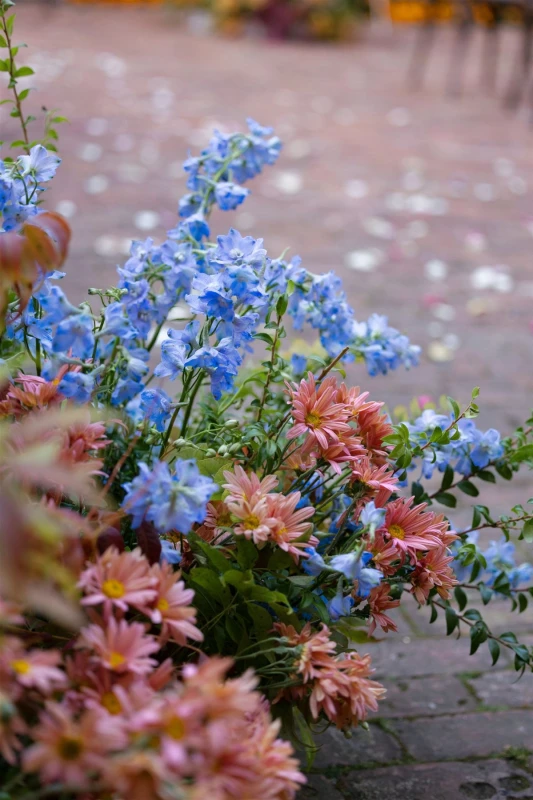 A Colorful Wedding for Sammy and Jared