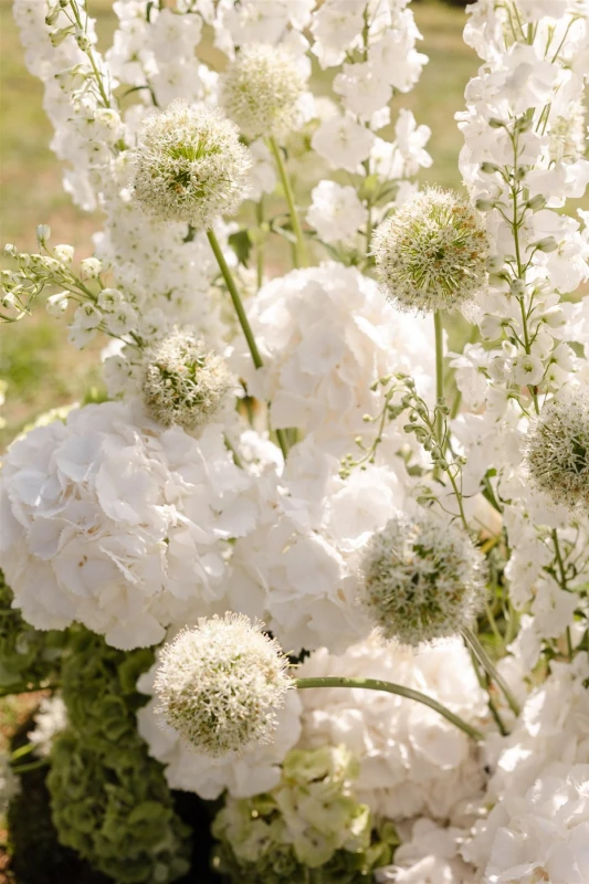 A Tuscan Wedding for Shannon and Seif