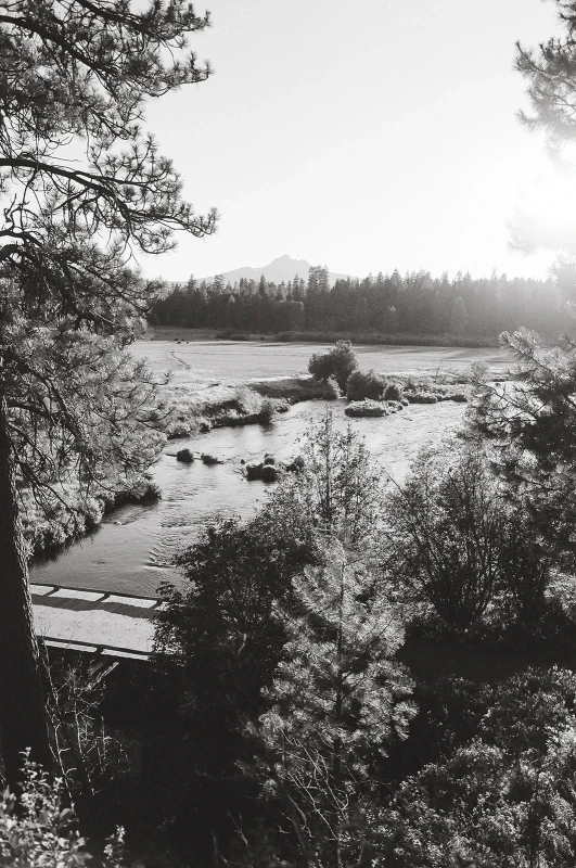 A Whimsical Wedding for Sydney and Kurt